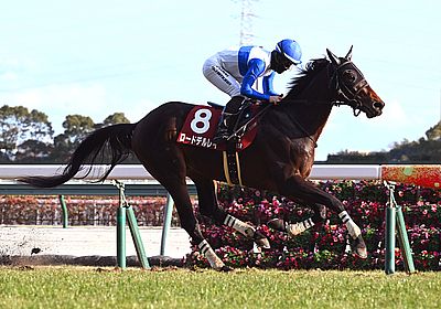 2025日経新春杯_ロードデルレイ
