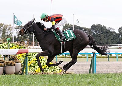 2025シルクロードS_エイシンフェンサー