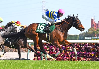 2025愛知杯_ワイドラトゥール