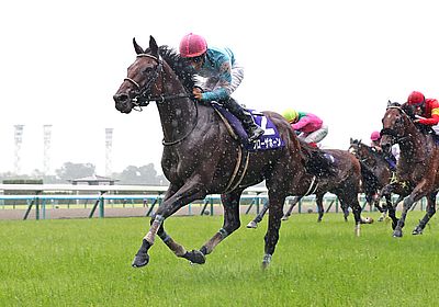 ブローザホーン