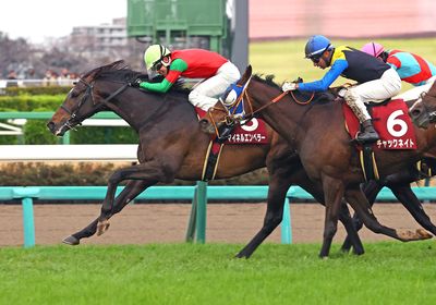 マイネルエンペラー