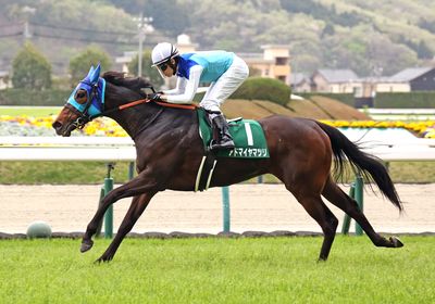 2025福島牝馬S_アドマイヤマツリ