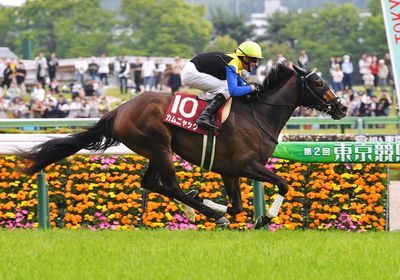 カムニャック