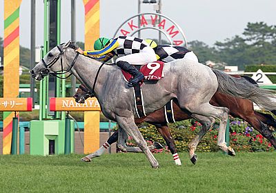 ガイアフォース