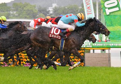 2025青葉賞_エネルジコ