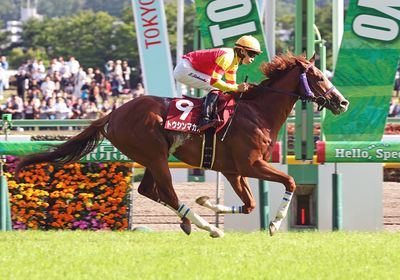 2025京王杯SC_トウシンマカオ