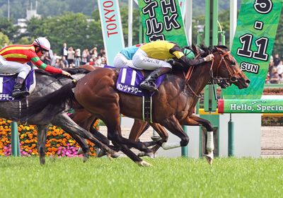2025NHKマイルC_パンジャタワー