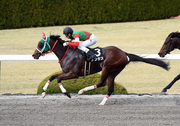 ラプタス