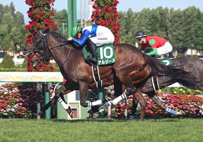 G1エリザベス女王杯2019優勝記念ブックレット【非売品・未開封】 2021年 エリザベス女王杯（GⅠ） | アカイイト | JRA公式 - YouTube