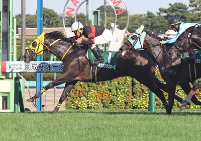 2025京成杯AH_ホウオウラスカーズ