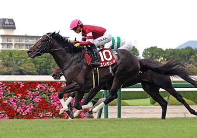 2025神戸新聞杯_エリキング