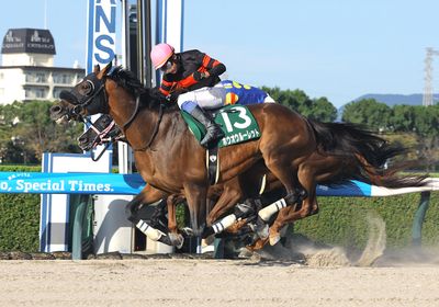 2025シリウスS_ホウオウルーレット