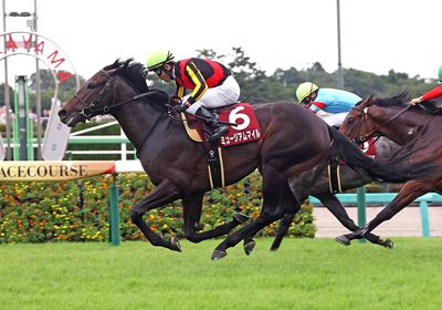 ミュージアムマイル