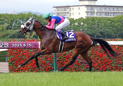 メイショウタバル