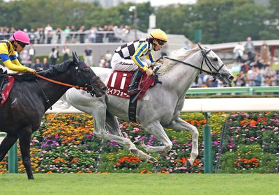 2025富士S_ガイアフォース