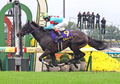 2025菊花賞_エネルジコ