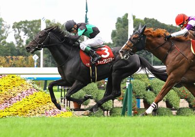 2025京都大賞典_ディープモンスター