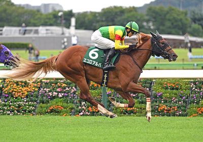 2025サウジアラビアRC_エコロアルバ