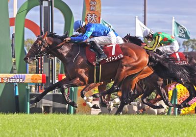 2025スワンS_オフトレイル