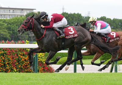フリッカージャブ