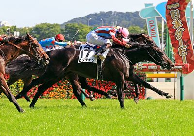 2026日本ダービー_ロブチェン