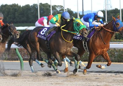 ウィルソンテソーロ