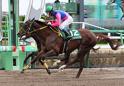 メイショウハリオ