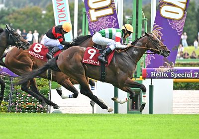 レーベンスティール