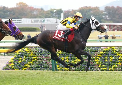 2025アルゼンチン共和国杯_ミステリーウェイ