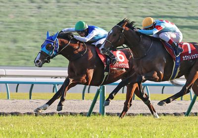 2025デイリー杯2歳S_アドマイヤクワッズ