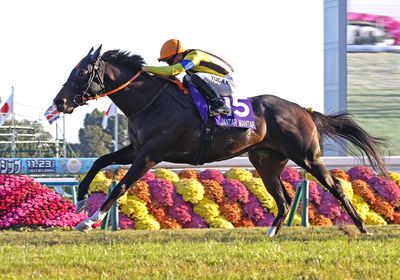 2025マイルチャンピオンS_ジャンタルマンタル