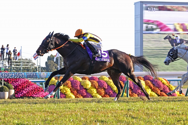 ジャンタルマンタル