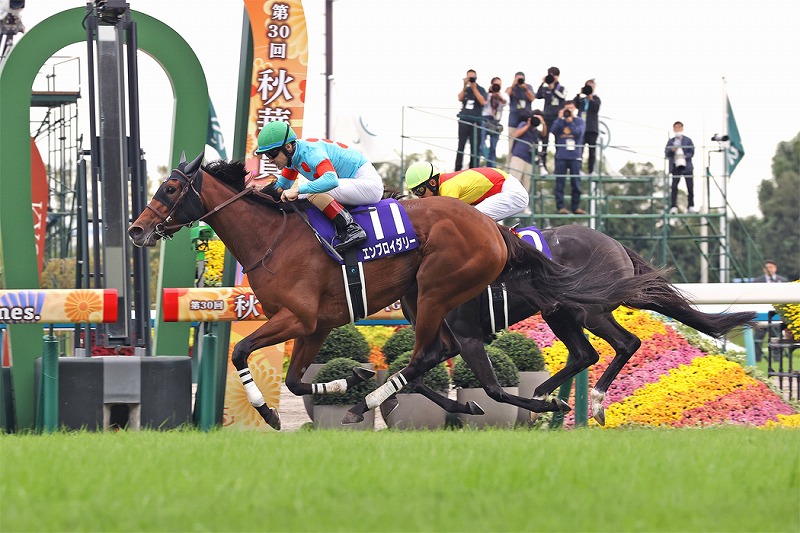 エンブロイダリー