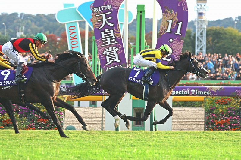 マスカレードボール