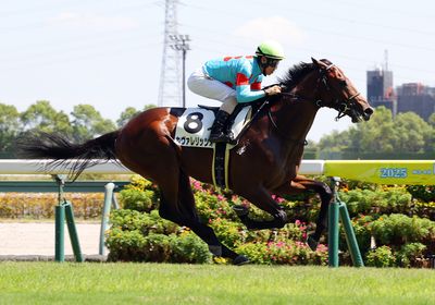 カヴァレリッツォ