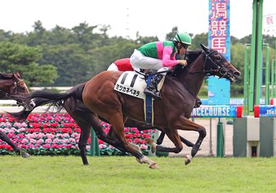 ミツカネベネラ