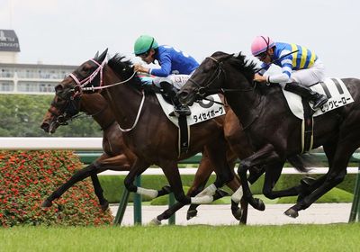 タイセイボーグ