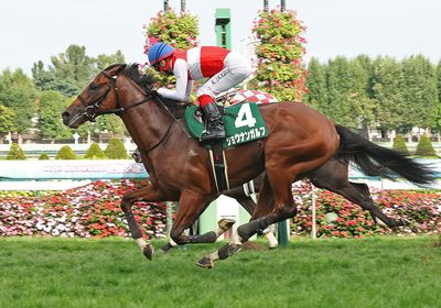 ショウナンガルフ