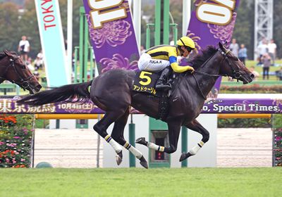 アンドゥーリル