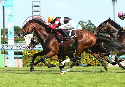 ウイナーズナイン