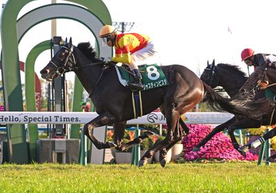 2025京都2歳S_ジャスティンビスタ