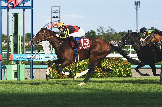 ローシャムパーク