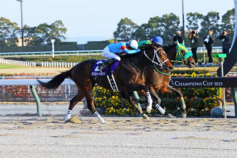 ダブルハートボンド