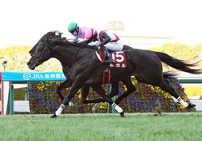 2025阪神C_ルガル