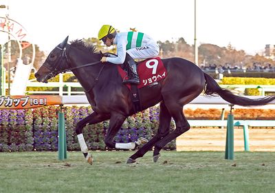 2026アメリカJCC_ショウヘイ