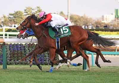 2026フェアリーS_ブラックチャリス