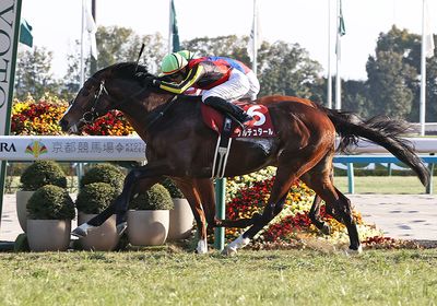 2026日経新春杯_ゲルチュタール