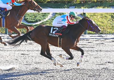 ナチュラルライズ