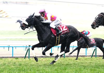 2026京都記念_ジューンテイク