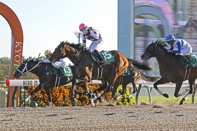 サンライズジパング